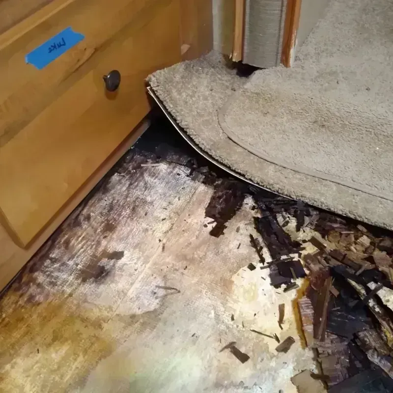 Wood Floor Water Damage in Enterprise, AL